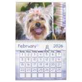 CALENDRIER MURAL SONJATAILWAGGERSBUSCARD (Feb 2026)