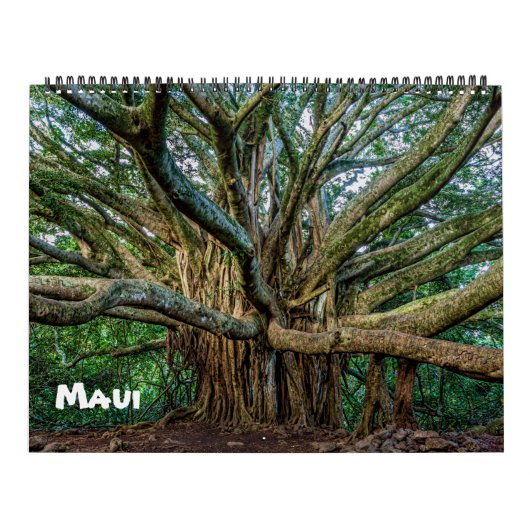 Calendrier Mural Spectaculaire Maui (Protection)