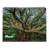 Calendrier Mural Spectaculaire Maui (Protection)