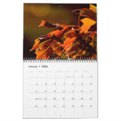 Calendrier Mural Splendor d'automne 2014 (Jan 2026)