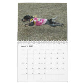 Calendrier Mural Stormi 2012 (Mar 2027)