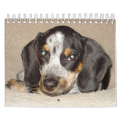 Calendrier Mural Stormi 2012 (Protection)