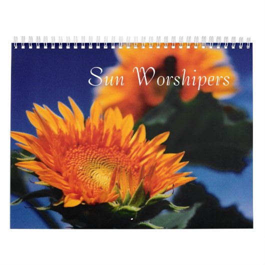 Calendrier Mural Sun Worshipers (Protection)