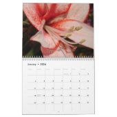 Calendrier Mural Sun Worshipers (Jan 2026)