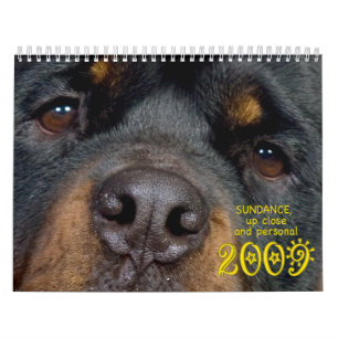 Calendrier Mural Sundance : Vers le haut d'étroit et de personnel