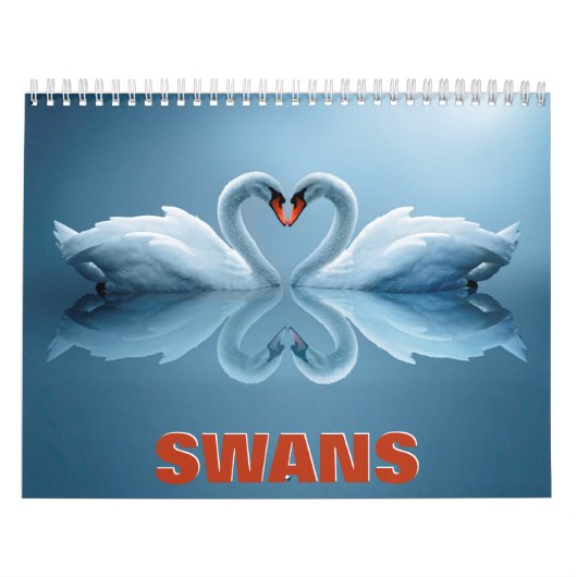 Calendrier mural Swans (Protection)