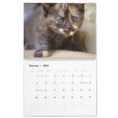 Calendrier Mural Sweet Kittens 2024 Katzen Kalender (Feb 2026)