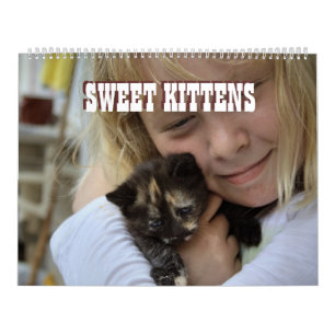 Calendrier Mural Sweet Kittens 2024 Katzen Kalender