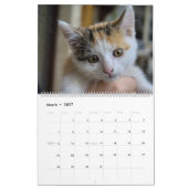 Calendrier Mural Sweet Kittens 2024 Katzen Kalender (Mar 2027)