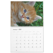Calendrier Mural Sweet Kittens 2024 Katzen Kalender (Jan 2027)