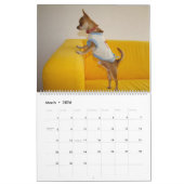 Calendrier Mural Sweet Little Chihuahua 2023 (Mar 2026)