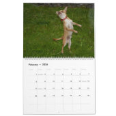 Calendrier Mural Sweet Little Chihuahua 2023 (Feb 2026)