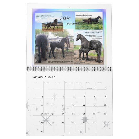 Calendrier Mural Taille standard de photo frisonne de cheval (Jan 2027)