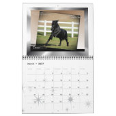 Calendrier Mural Taille standard de photo frisonne de cheval (Mar 2027)