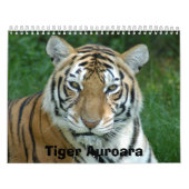 Calendrier Mural Tiger_Aroara012, tigre Auroara (Protection)