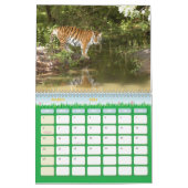 Calendrier Mural Tiger_Aroara012, tigre Auroara (Mar 2026)