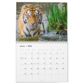 Calendrier Mural Tiger Photographie Animal sauvage 2017 (Mar 2026)