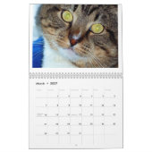 Calendrier Mural Tommy le chat tigré (Mar 2027)