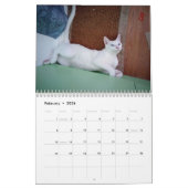 Calendrier Mural Toujours et pour toujours (Feb 2026)