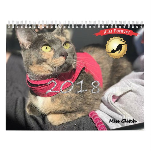 Calendrier Mural Toujours et pour toujours (Protection)