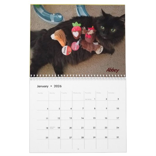 Calendrier Mural Toujours et pour toujours (Jan 2026)