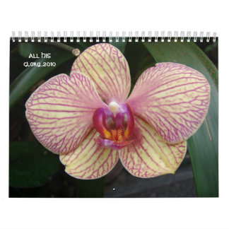 Calendrier Mural Toute SA gloire… 2010