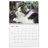 Calendrier Mural Trois chatons sauvages (Mar 2026)