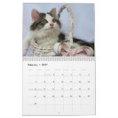 Calendrier Mural Trois chatons sauvages (Feb 2027)