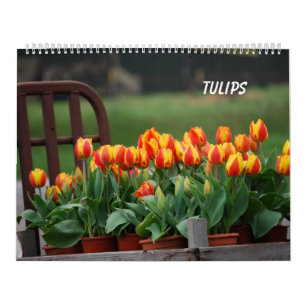 Calendrier Mural Tulipes