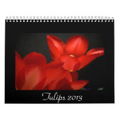 Calendrier Mural Tulipes 2013 (Protection)
