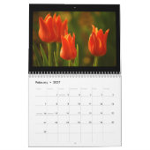 Calendrier Mural Tulipes 2013 (Feb 2027)