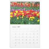 Calendrier Mural Tulipes colorées (Jan 2027)