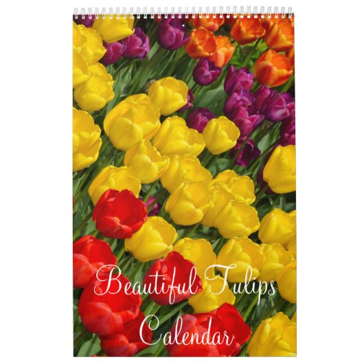 Calendrier Mural Tulipes colorées (Protection)