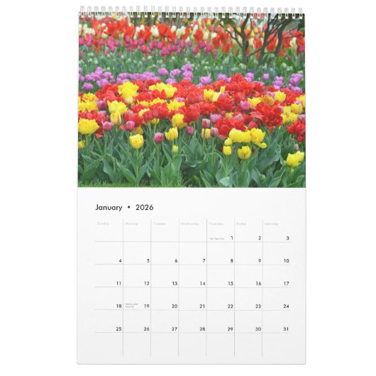 Calendrier Mural Tulipes colorées (Jan 2026)