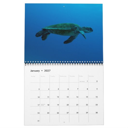 Calendrier Mural Turtles of the Coral Sea Calendar 2015 (Jan 2027)