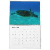 Calendrier Mural Turtles of the Coral Sea Calendar 2015 (Mar 2026)