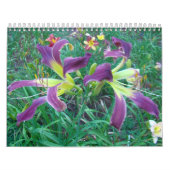 Calendrier Mural Un contact des Daylilies de Sun (Protection)