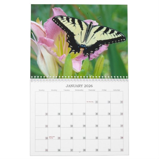 Calendrier Mural Un contact des Daylilies de Sun (Jan 2026)