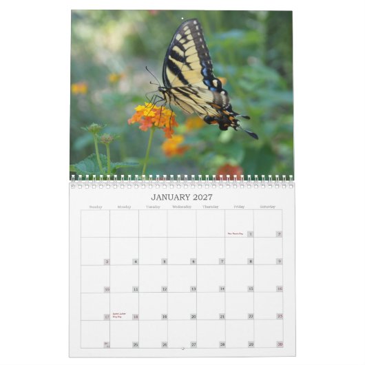 Calendrier Mural Un contact du papillon de Sun (Jan 2027)