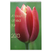 Calendrier Mural un contact du rouge pour 2013 (Protection)