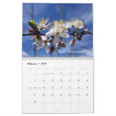 Calendrier Mural Un hommage à la flore de la Grèce du nord (Feb 2027)