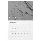 Calendrier Mural Un oiseau pour chaque saison (Jan 2026)