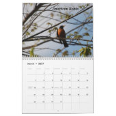 Calendrier Mural Un oiseau pour chaque saison (Mar 2027)