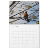 Calendrier Mural Un oiseau pour chaque saison (Mar 2026)
