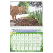 Calendrier Mural Une année avec le Pokey (Mar 2026)