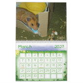 Calendrier Mural Une année chez les hamsters 2010 (Mar 2027)
