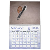 Calendrier Mural Une année chez les hamsters 2010 (Feb 2026)