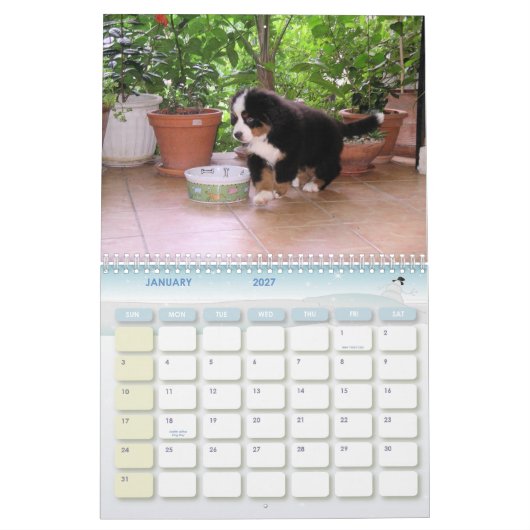 Calendrier Mural Une année de Berner (Jan 2027)