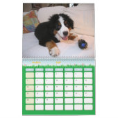 Calendrier Mural Une année de Berner (Mar 2027)