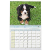 Calendrier Mural Une année de Berner (Feb 2027)